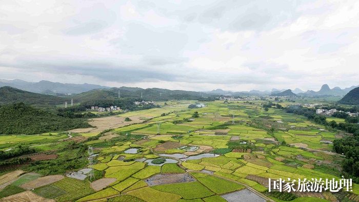 图7：7月18日，在广西柳州市融安县潭头乡新桂村拍摄的丰收田园。（无人机照片，谭凯兴 摄）