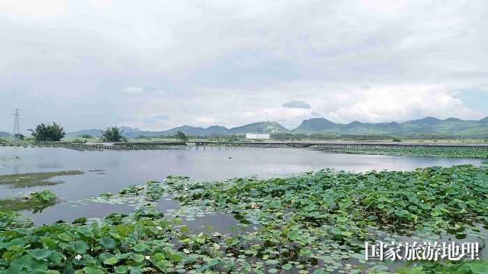 图6：7月19日，在广西柳州市融安县大良镇龙山村，蓝天白云下荷塘与壮族民居相互映衬，构成一幅原生态的美丽乡村图景。（无人机照片，谭凯兴 摄）