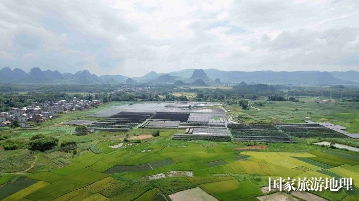 图9：7月19日，在广西柳州市融安县大良镇龙山村，蓝天白云下荷塘与壮族民居相互映衬，构成一幅原生态的美丽乡村图景。（无人机照片，谭凯兴 摄）